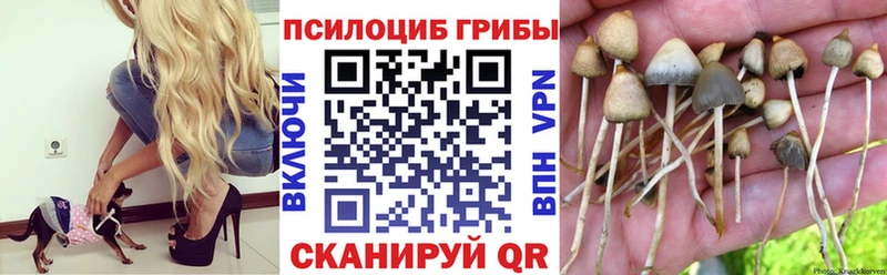 Галлюциногенные грибы Psilocybine cubensis  продажа наркотиков  Сухой Лог 